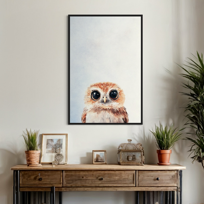 Little Owl